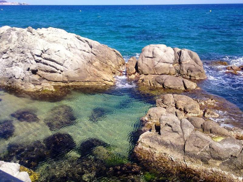 Hotel Cap Roig & Spa By Brava Hoteles Platja d'Aro Bagian luar foto